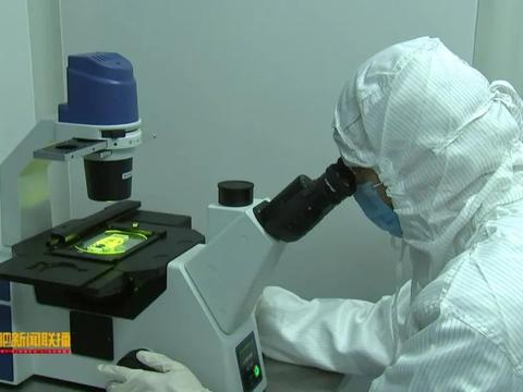 十年磨一劍 安科生物以超10%營收重注研發，鑄就生物醫藥創新引擎